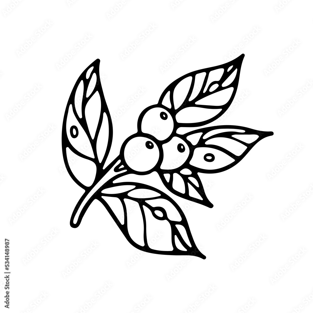 Branche with Leaves and Berries outline doodle Vector illustration. Isolated on white background. Botany Design for Coloring book Branche with Leaves and Berries outline doodle Vector illustration. Isolated on white background. Botany Design for Coloring book