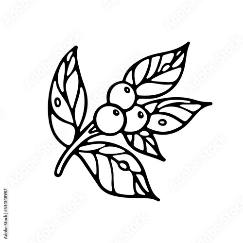 Branche with Leaves and Berries outline doodle Vector illustration. Isolated on white background. Botany Design for Coloring book