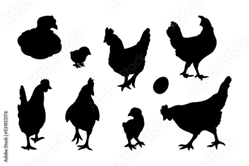 Vászonkép Hen or chicken silhouette set isolated in white background