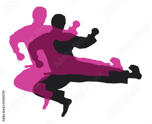 Martial art sport graphic.