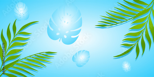 green palm leaf vector for background. Tropical palm frond frame. Summer tropical leaves. summer greeting cards