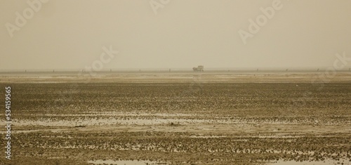 Wadden Sea of the North Sea near  Cuxhaven at low tide. the vastness of the mud and sand landscape, blurred background, on the horizon the Prikken path to the island of Neuwerk, a carriage is driving photo