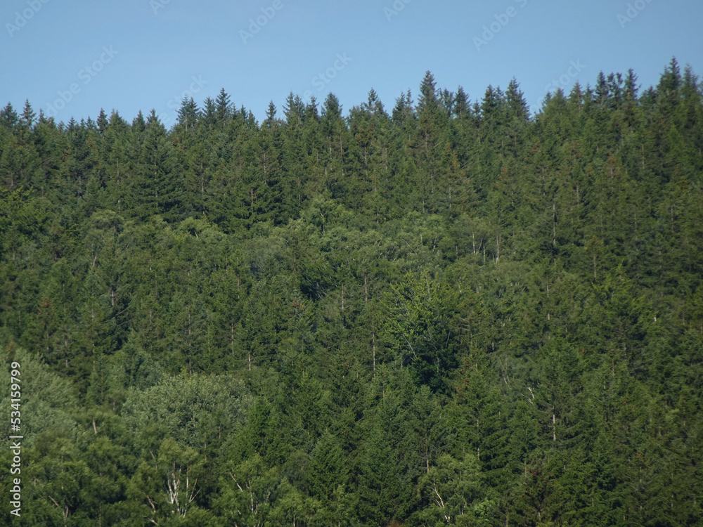 A beautiful panorama of the Dry Mountains near Wałbrzych on a sunny summer day. A beautiful panorama of the Dry Mountains near Wałbrzych on a sunny summer day.