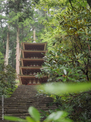 植物に囲まれた五重塔