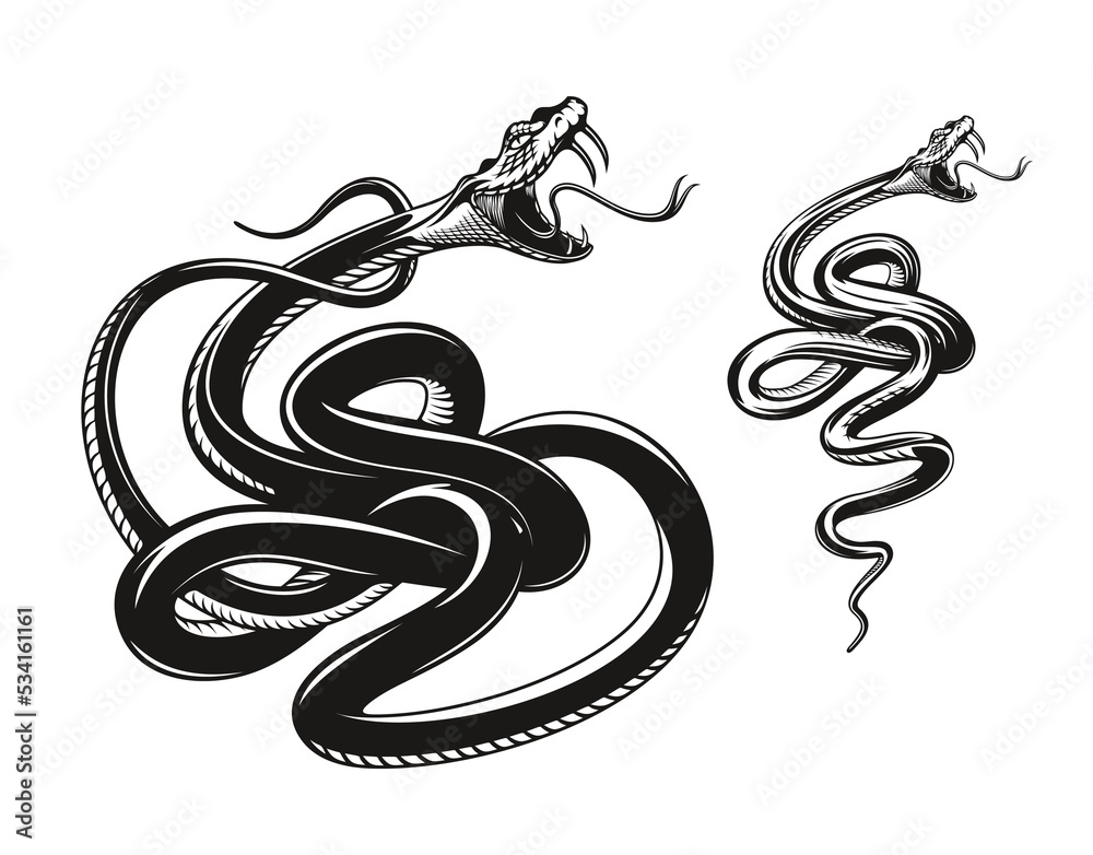 Obraz premium Angry snake tattoo, rattlesnake or viper, aggressive serpent. Angry vector snake with fangs and tongue attack, black viper or rattlesnake serpent for tattoo, mascot