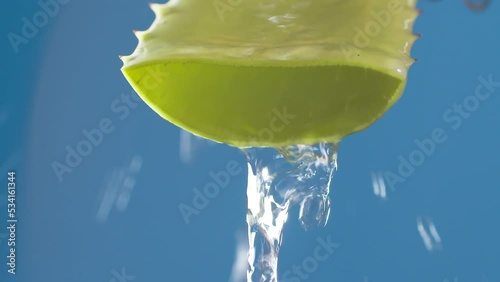 Pure water drops and streams to green aloe vera on blue background. Slow motion.