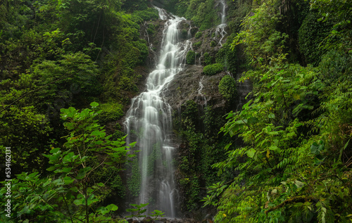 Waterfall landscape in Central America forest