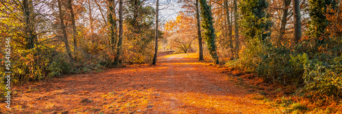 sunset in an autumn forest path