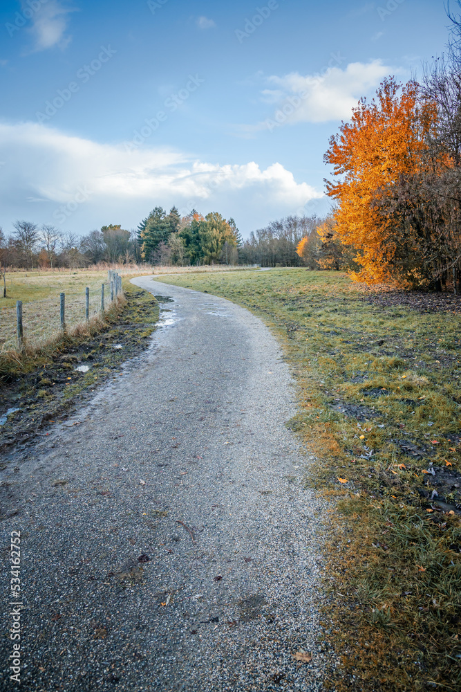 Country road in Autumn in a French countryside