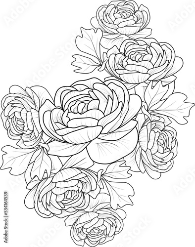 Bouquet of hand drawn roses, Buttercup, ranunculus, flowers natural collection illustration sketch pencil art isolate image on white background coloring book and page for adult. 