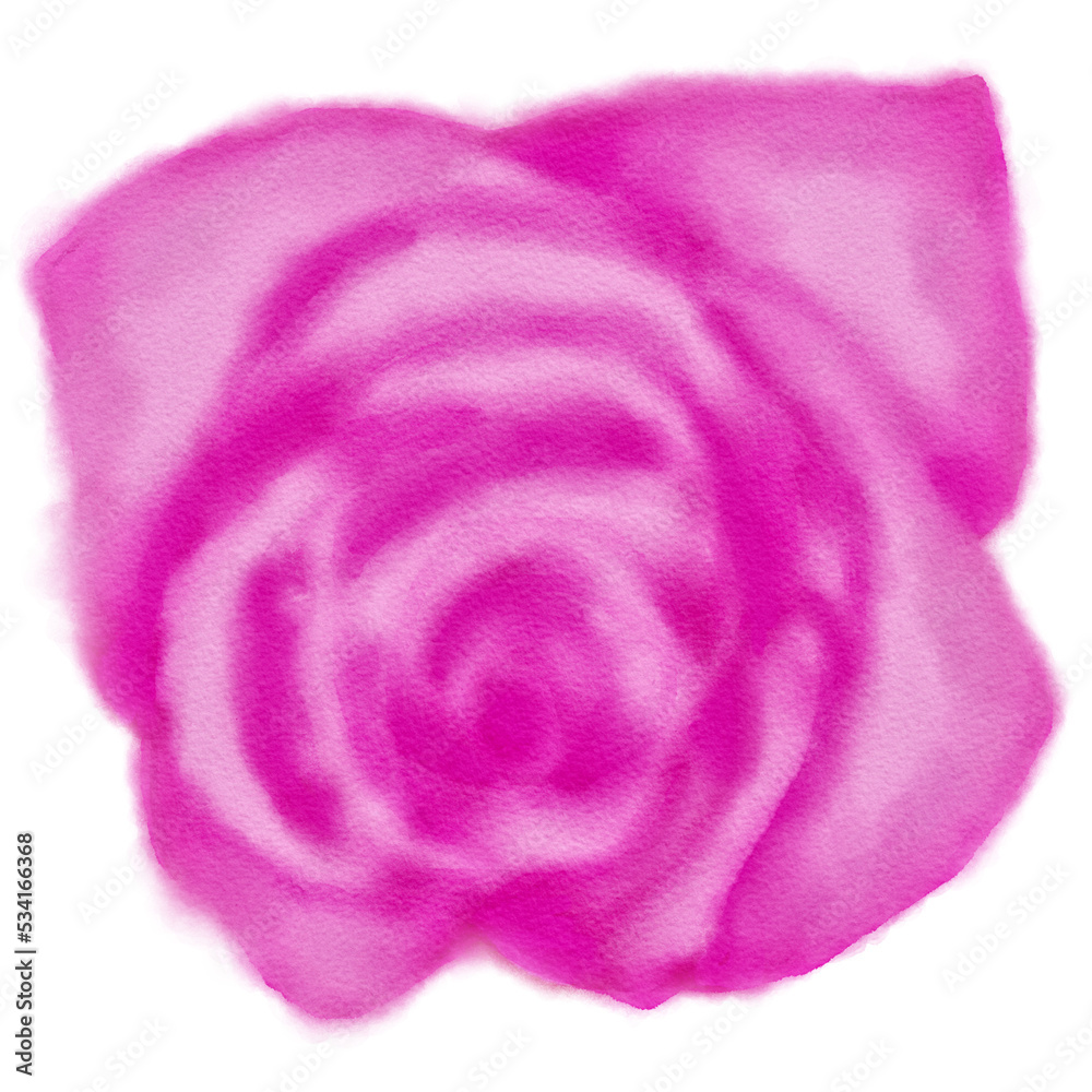 Fototapeta premium Watercolor Rose Flower for Decoration
