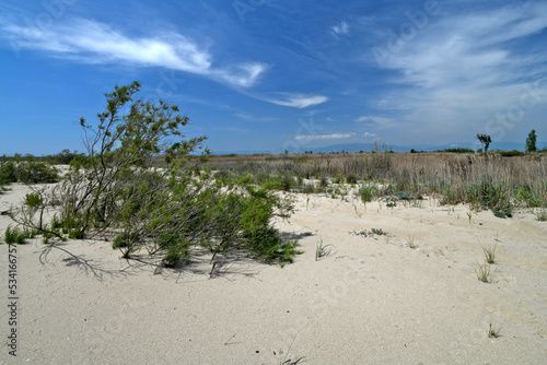 Dunes in the Nestos Delta National Park // Sanddünen im Nationalpark Nestos-Delta  photo