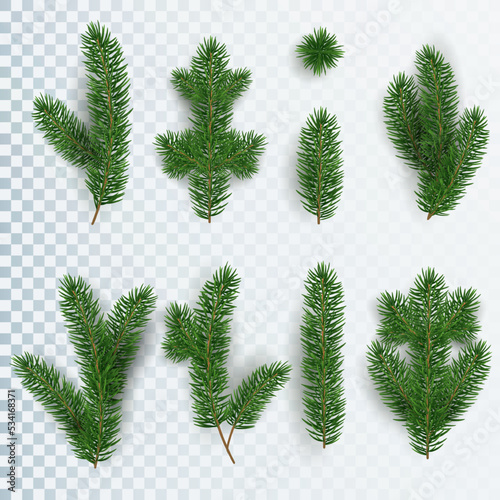 Set of realistic Christmas tree branches of different shapes and sizes. New Year and Christmas elements. Plants for creating banners and garlands