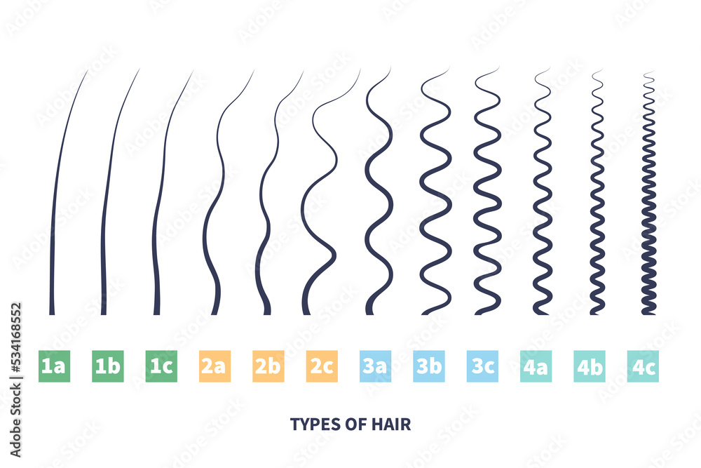 Straight wavy curly kinky hair types classification system set