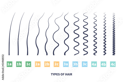 Straight, wavy, curly, kinky hair types classification system set. Detailed human hair growth style chart. Health care and beauty concept. Vector illustration. photo