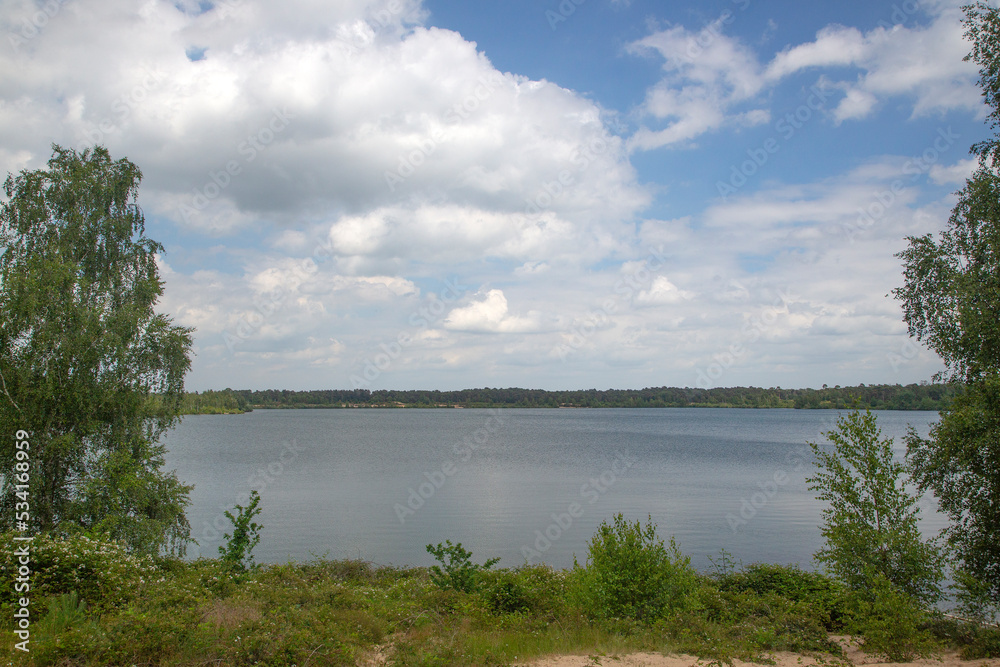 Typical landscape around Lake Reinders in Dutch National Park De Maasduinen; Bergen, Limburg, Netherlands