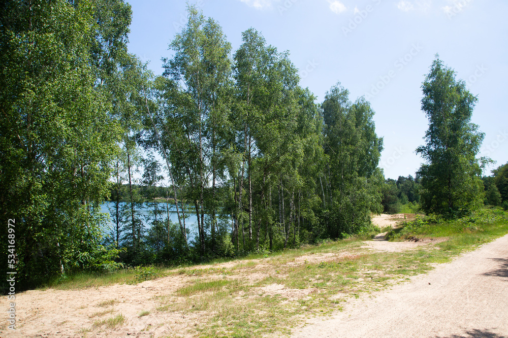 Typical landscape around Lake Reinders in Dutch National Park De Maasduinen; Bergen, Limburg, Netherlands Typical landscape around Lake Reinders in Dutch National Park De Maasduinen; Bergen, Limburg, Netherlands