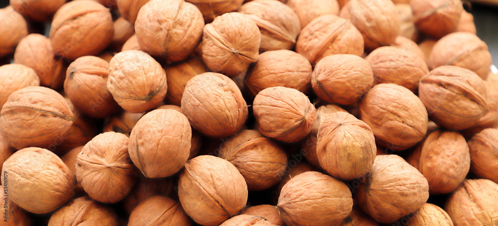 fresh walnuts are collected in the fall fresh walnuts are collected in the fall