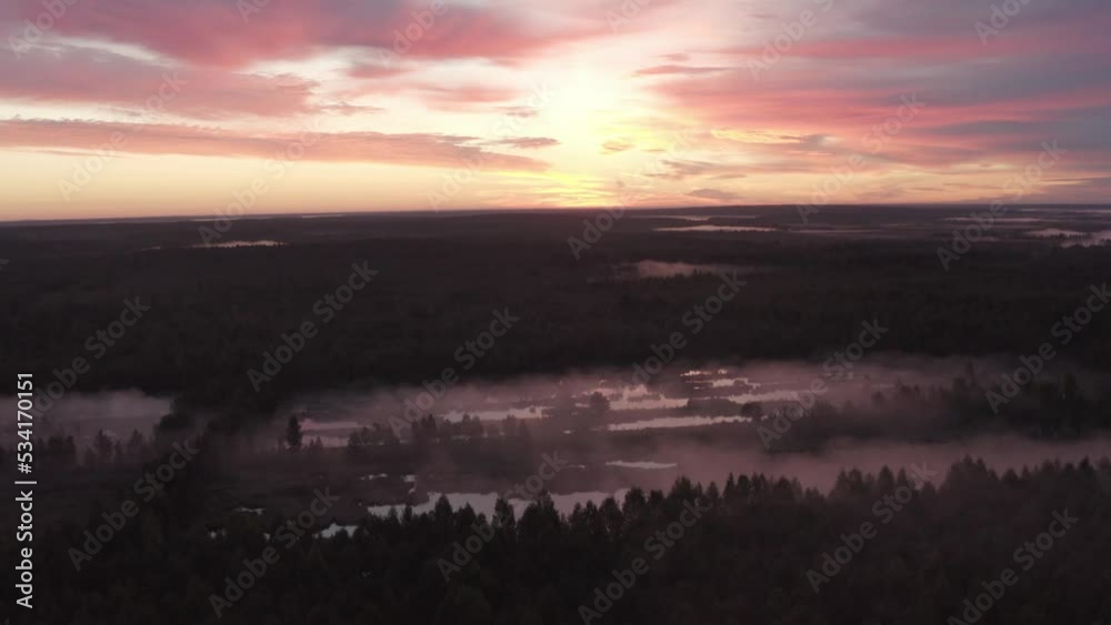 Aerial view of the river in the fog in the forest at dawn Aerial view of the river in the fog in the forest at dawn