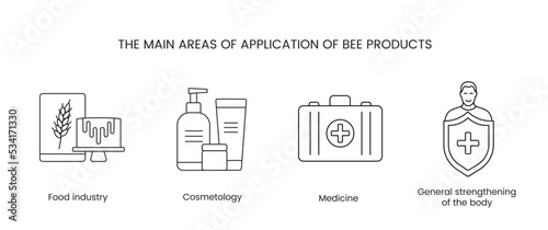 Areas of application of honey linear icons in vector.