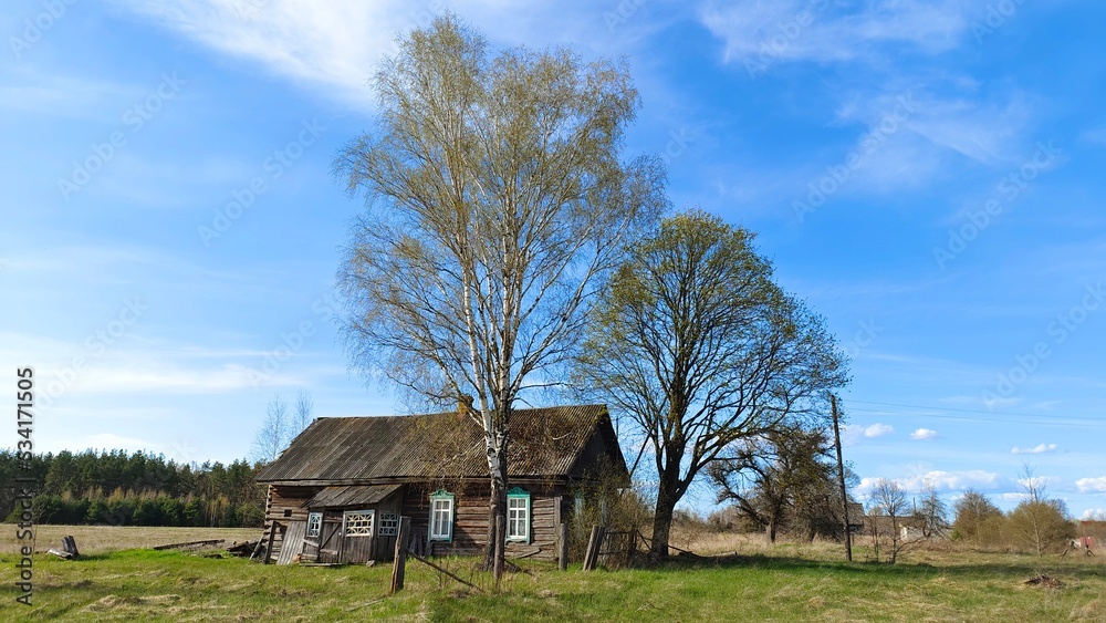 On a grassy lawn on the edge of the village next to a large birch and poplar stands an old abandoned village house. A forest grows behind it. The weather is sunny and the sky is blue with clouds On a grassy lawn on the edge of the village next to a large birch and poplar stands an old abandoned village house. A forest grows behind it. The weather is sunny and the sky is blue with clouds