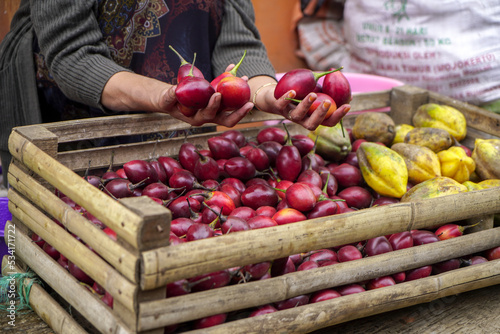 Dutch eggplant is a typical drink of the Tengger Tribe. Close up view Red Eggplant 