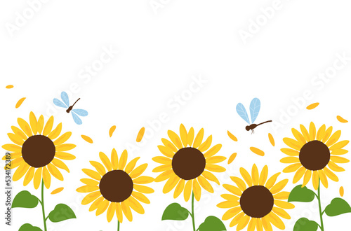 Sunflower field, green leaves, flying petals and dragonfly cartoons on white background vector illustration.