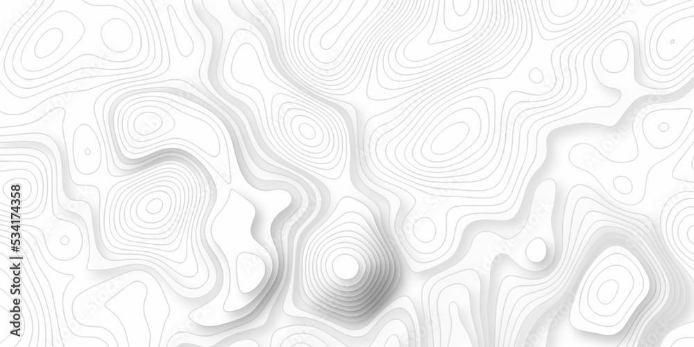 Topographic map background. silver line topography maount map contour background, geographic grid. Abstract vector illustration.	
