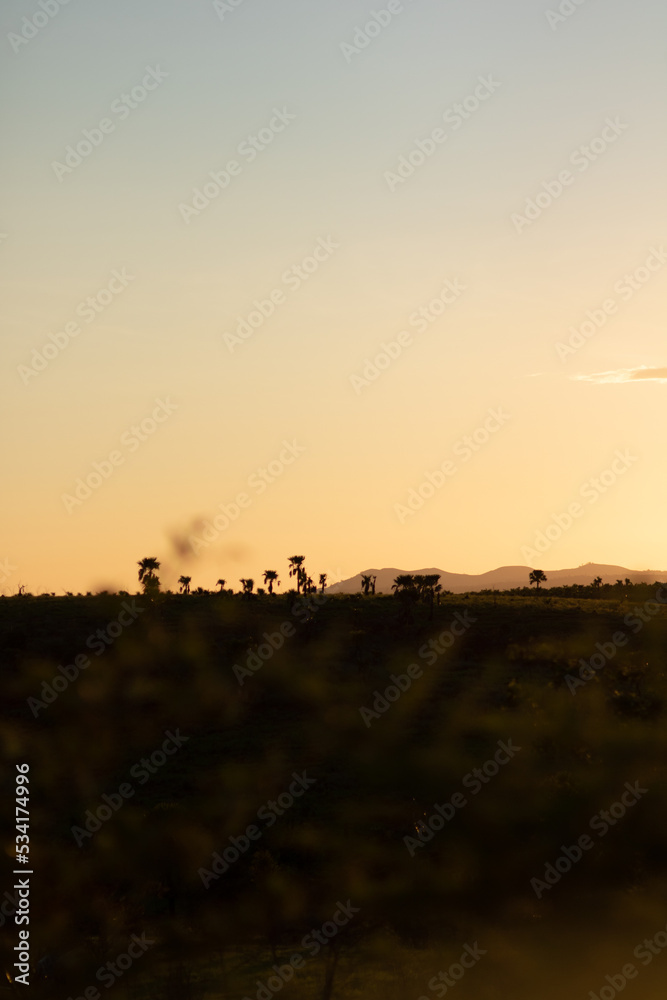 sunset in the field madagascar sun down blue hour
