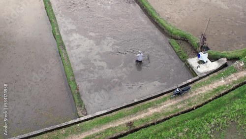 Unidentified farmer flatten and level muddy soil at inundate field using board on pole. Manual work required for wet rice growing at Balinese rice paddies. Aerial shot, camera fly around man