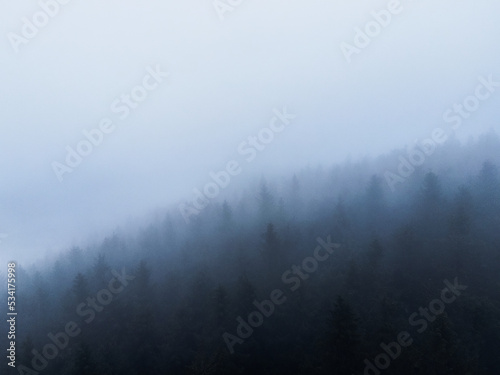 dark mist misty cloudy drone forest