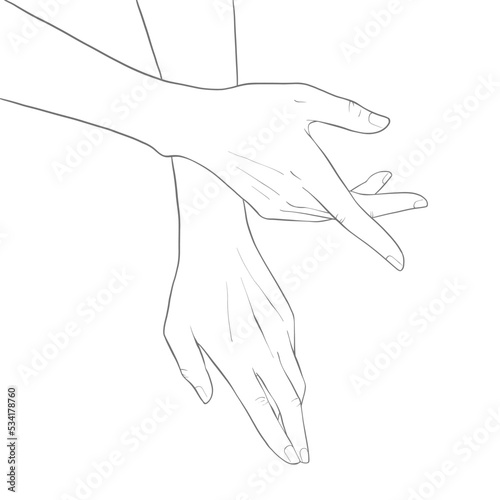 Woman Hands Delicate Rejuvenating, Elegant female hands, Realistic Gestures, Line Art, Vector Illustration