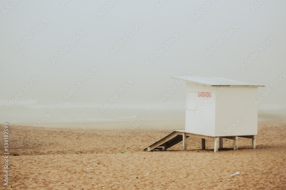 Obraz premium Playa con neblina