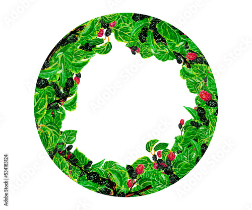 Watercolor frame template circle, sweet berry tree branch on white background for your design isolated