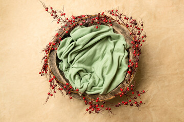 digital backdrop or background for newborn baby photography, newborn photo setup and decorations, christmas or new year setups. High quality photo