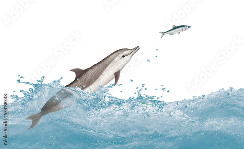 dauphin tacheté de l'atlantique ,évasion, vague, dauphin, mammifère, marin, poisson, nature, océan, lac, eau, giclé, illustration, animal à dents rugueuses