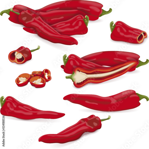 Set with whole, half, quarter, slices, and wedges of Sweet Italian chili peppers. Friggitello. Tuscan peppers. Pepperoncini peppers. Vegetables. Vector illustration isolated on white background.