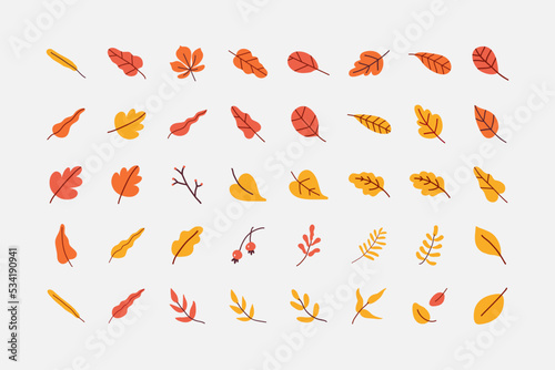 Yellow Leaf illustration vector set