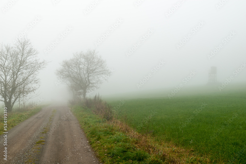 Hochsitz im Nebel auf einer Wiese am Böhlen, Medebach, Hochsauerland Hochsitz im Nebel auf einer Wiese am Böhlen, Medebach, Hochsauerland