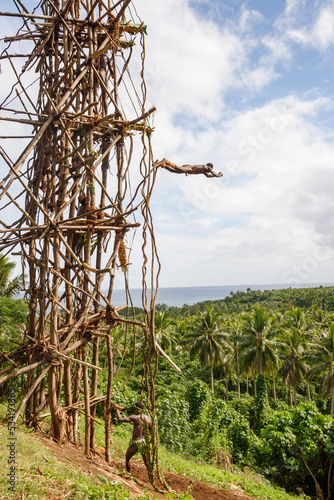 VANUATU, PENTECOST  ISLAND: land diving ceremony, called Naghol or Gol. Indigenous men jump from wooden towers 20 to 30 meters high, with tree vines wrapped around their ankles photo