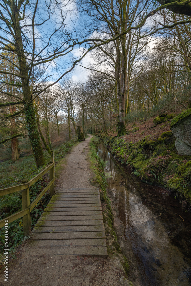 Small footbridge in woodland beside a water filled stream in luxulyan valley Cornwall