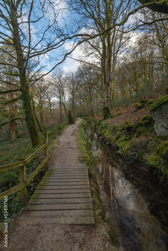 Small footbridge in woodland beside a water filled stream in luxulyan valley Cornwall