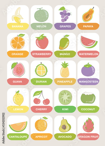 Tropical fruits Flashcards for Children. Cute flashcards for children. Ready to print. Printable game cards. Educational cards for preschool. Vector illustration.