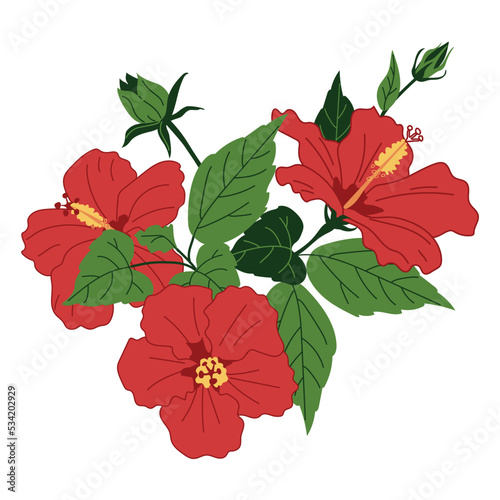 A bouquet of red Hibiscus flowers in a hand-drawn style on a white background. Chinese rose. Vector illustration for decoration, postcards