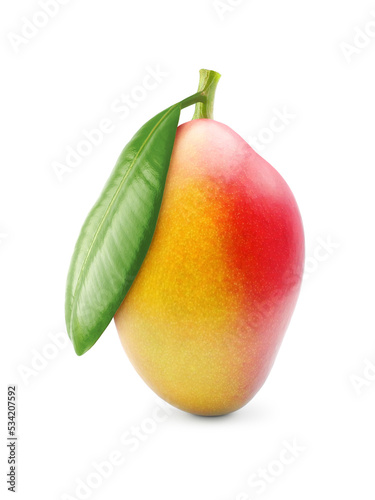 Ripe mango fruit with leaf isolated on white background 