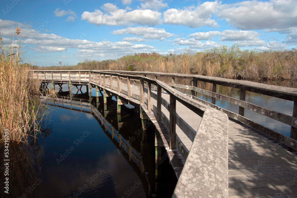 Wooden boardwalk to observe the fauna of the evergaldes in Florida Wooden boardwalk to observe the fauna of the evergaldes in Florida