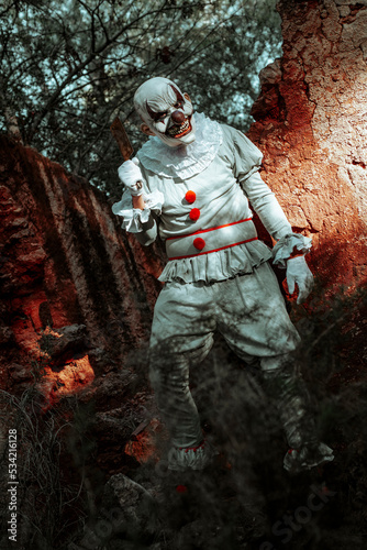Obraz na płótnie evil clown menacing with a rusty cleaver w salonie