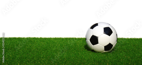 Soccer ball on grass isolated on white © Alekss