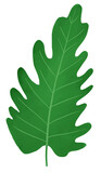 Leaf for Decoration