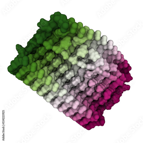 3D structure of the Alzheimer's disease amyloid beta fibril aggregate. photo